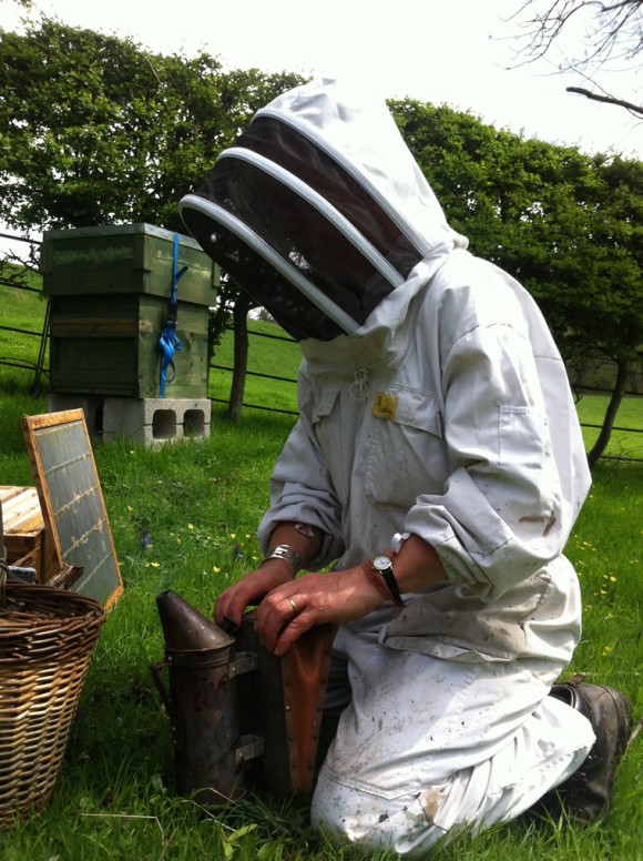 Beespoke’ management options: Cywain Bee is helping the Welsh honey industry reach its potential.